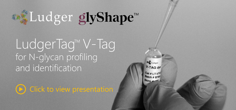 Ludger GlyShape V-Tag for N-glycan release and labelling