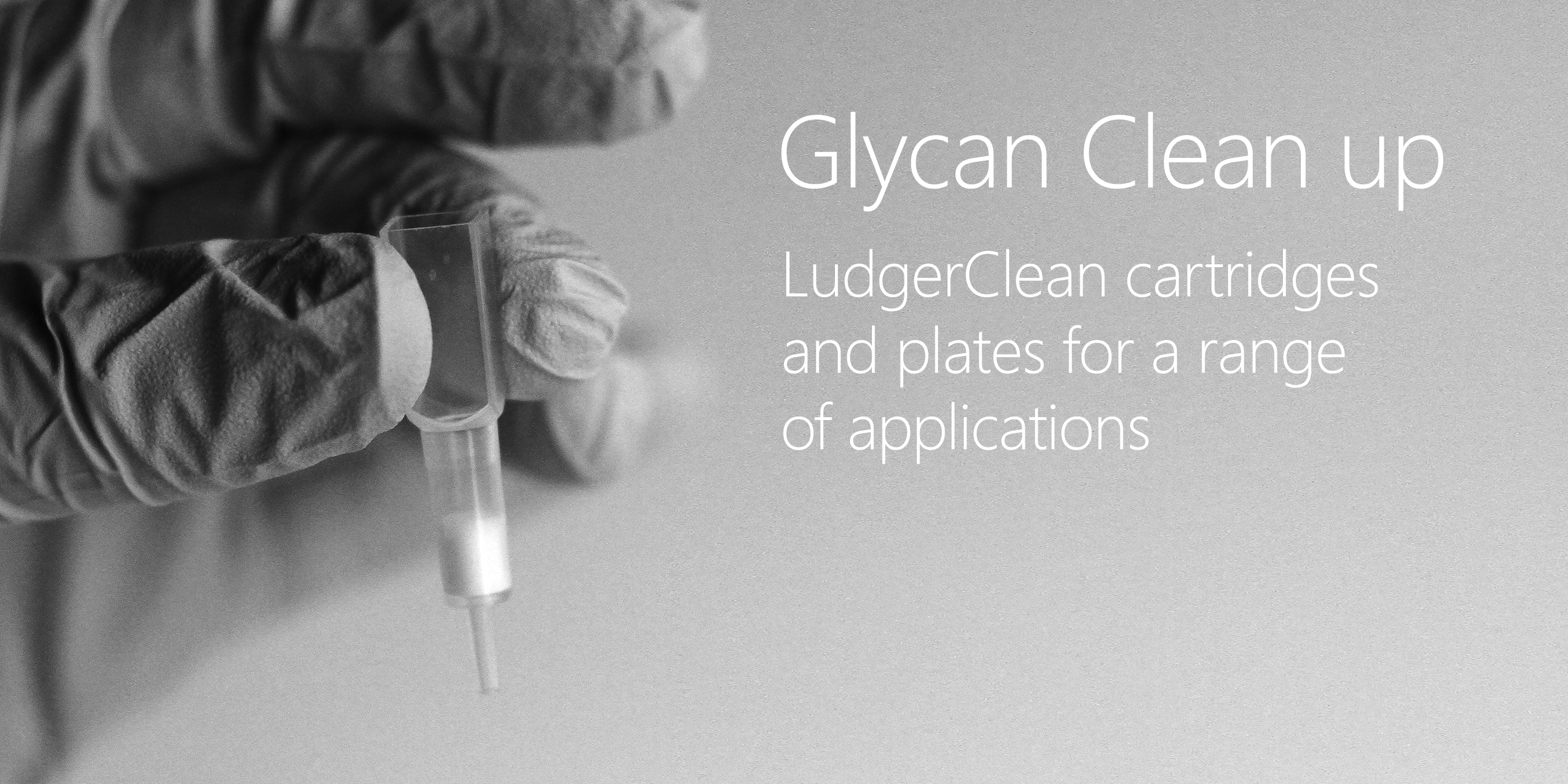 ludgerclean cartridges and plates