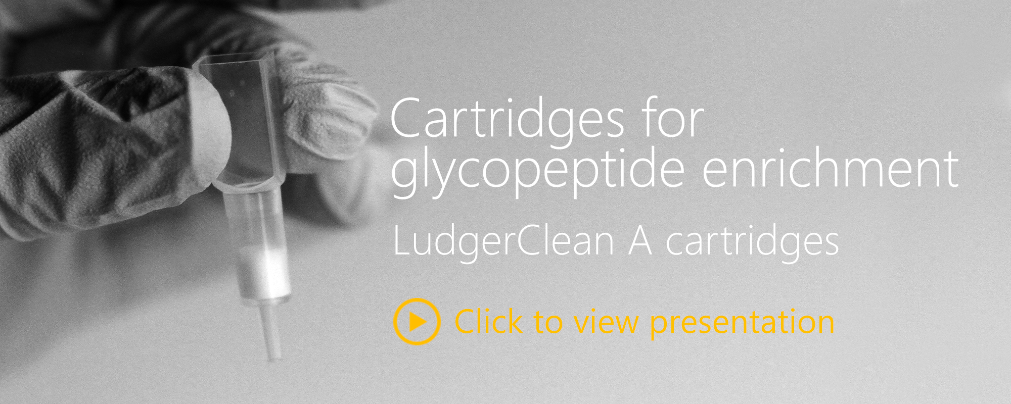 Ludger Glycopeptide Enrichment - A Cartridges