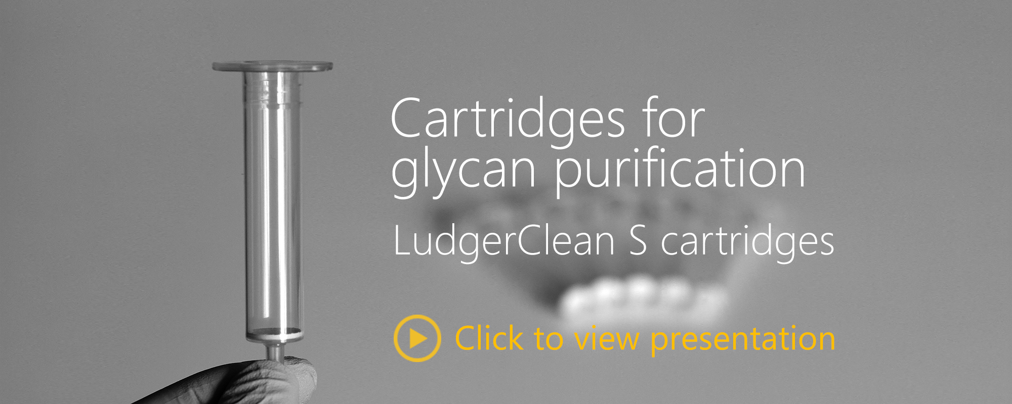 Ludger S cleanup cartridges