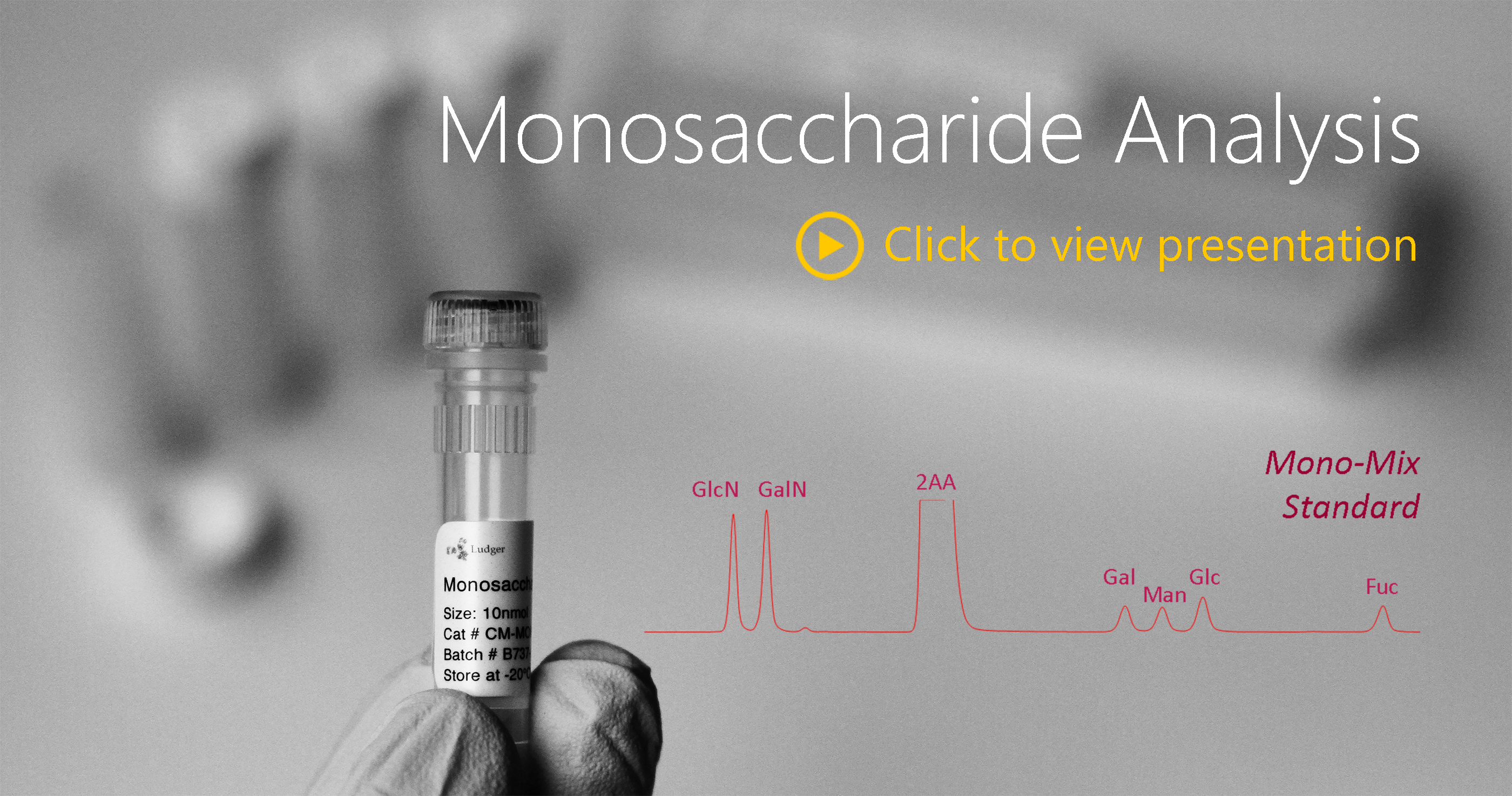 Ludger Monosaccharide Analysis Presentation