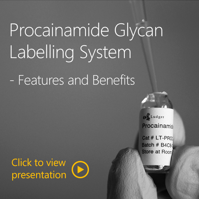 LudgerTag Procainamide Glycan Labelling System - Features and Benefits presentation