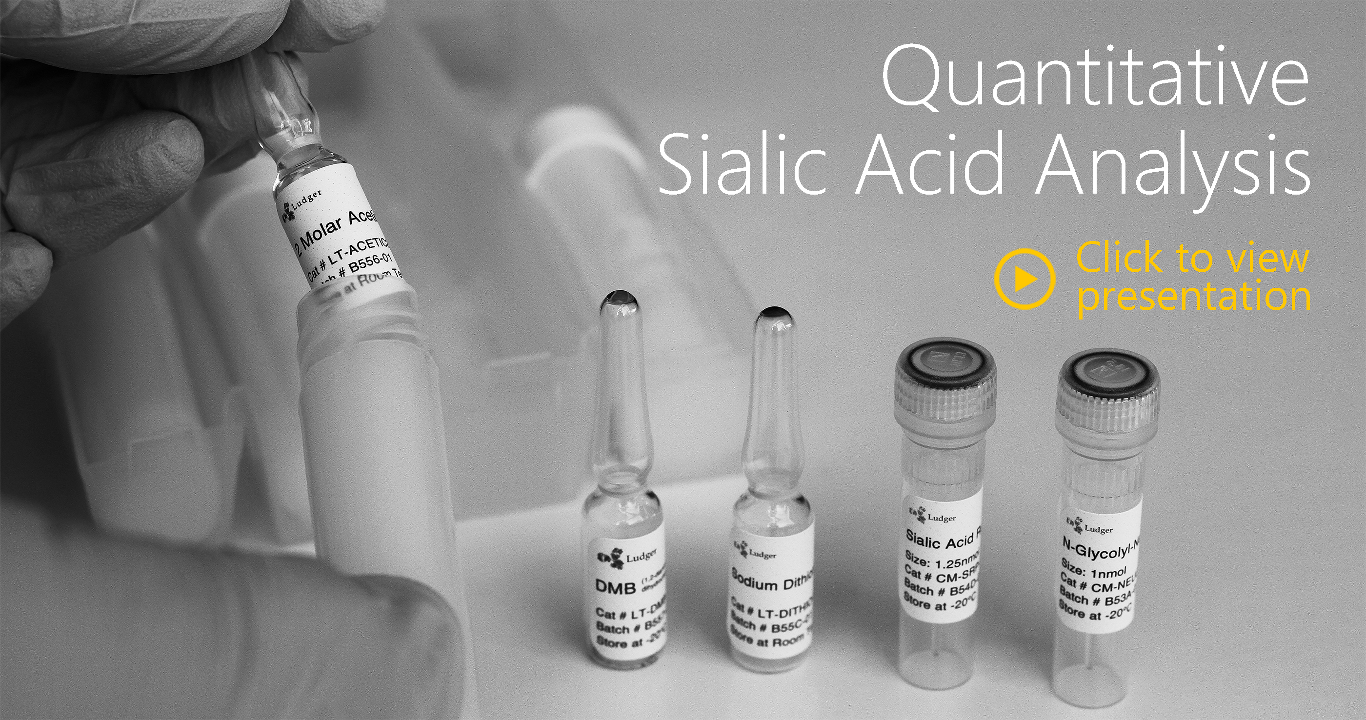 Ludger Sialic Acid Analysis