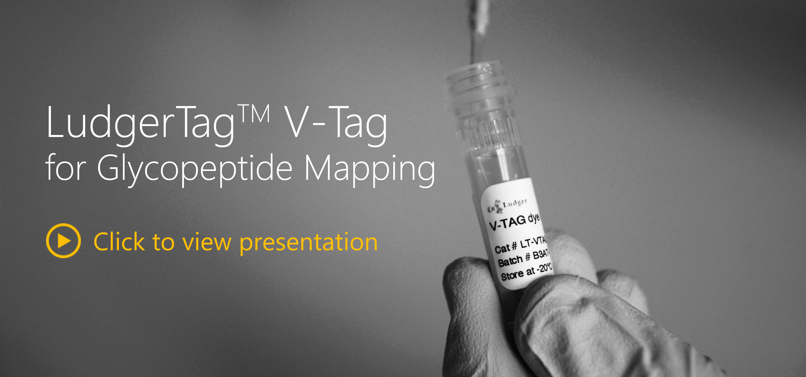 LudgerTag V-Tag for Glycopeptide Mapping