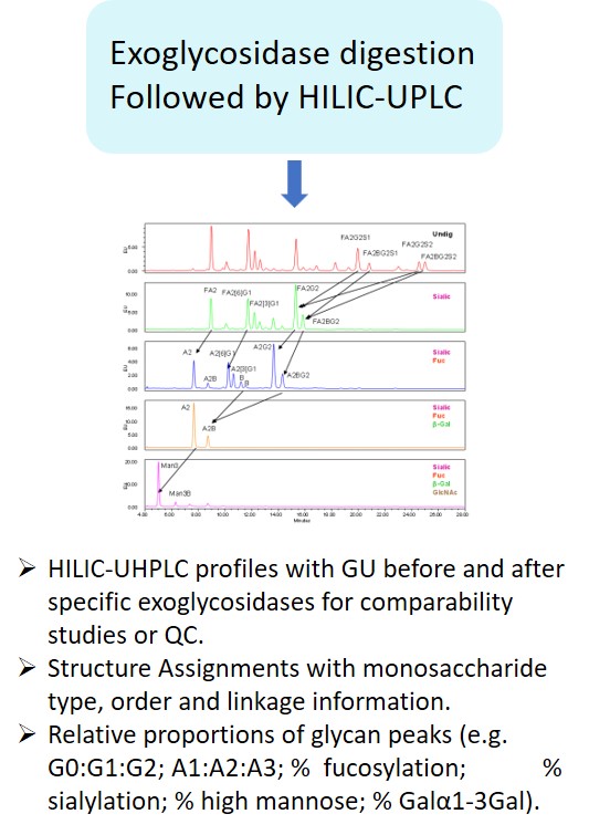 Ludger Glycan Analysis - Level 2 - HILIC glycan charactersiation