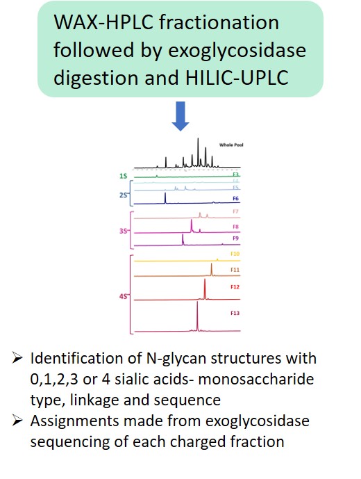 Ludger Glycan Analysis - Level 2 - WAX glycan charactersiation