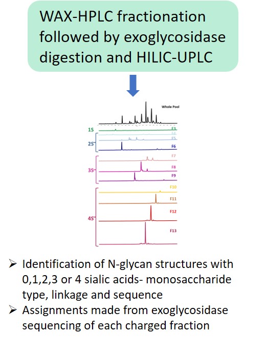 Ludger Glycan Analysis - Level 2 - WAX glycan charactersiation
