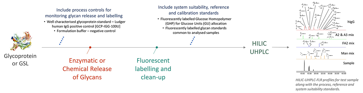 Ludger - Glycan Analysis - Workflow for Level 1 HILIC profiling