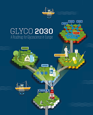 Ludger - Glyco 2030 - A Roadmap for Glycoscience in Europe