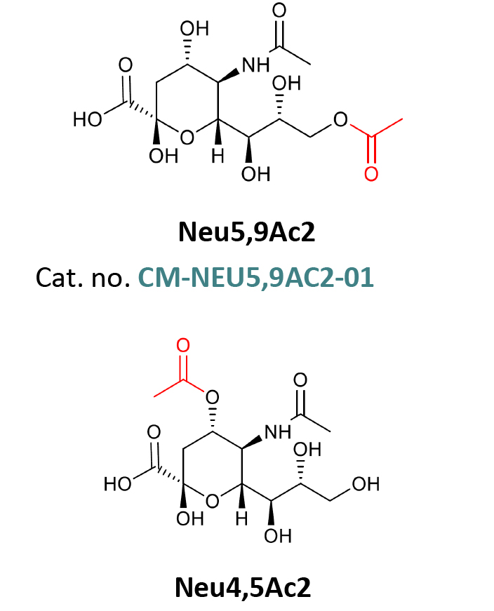 Neu5,9Ac2 and Neu4,5Ac2 structures