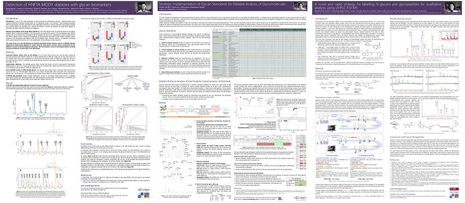 Ludger poster - Strategic Implementation of Glycan Standards for Reliable Analysis of Glycomolecules - Eurocarb 2019