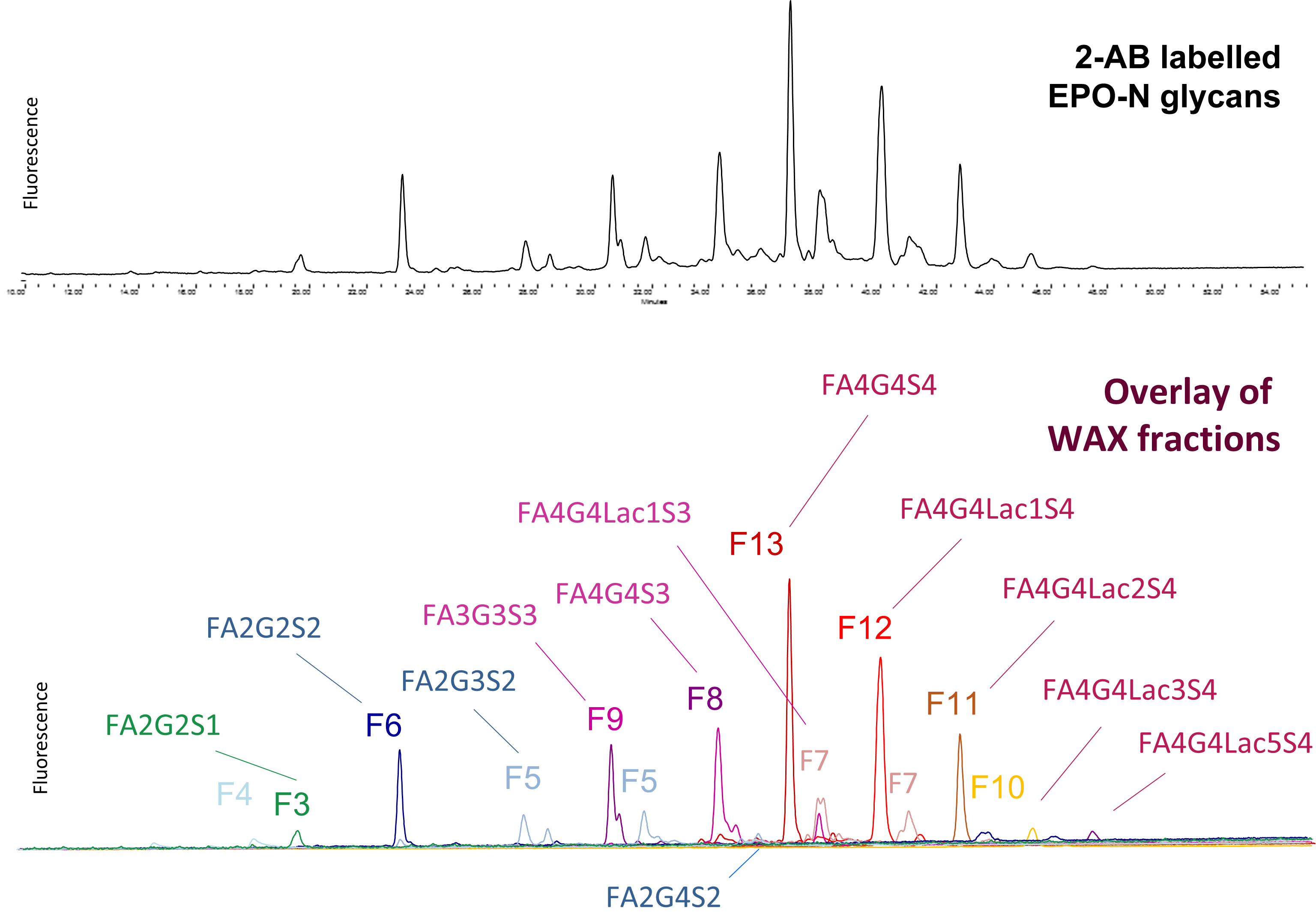 Ludger - Glycan Standards Webpages