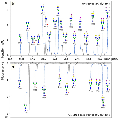 Ludger Glycoconjugate Journal Publication - Figure 1