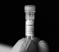 Ludger Man8 Quantitative Glycan Standard vial
