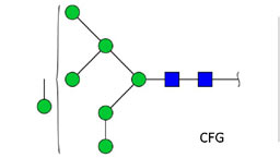 Ludger - Chromatogram of MAN-8 (Mannose 8)