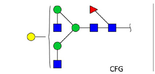 Ludger - Chromatogram of FA2G1 glycan (G1F)