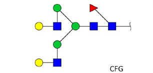 Ludger - Chromatogram of NA2F glycan (FA2G2, G2F)