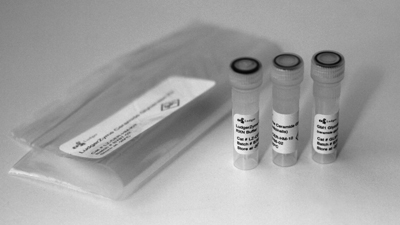 Ludger Ceramide Glycanase - Kit Contents