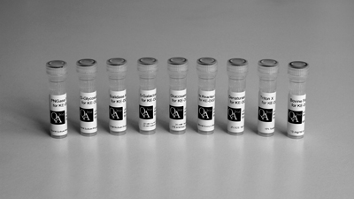 Ludger Enzymatic CarboRelease - Kit contents
