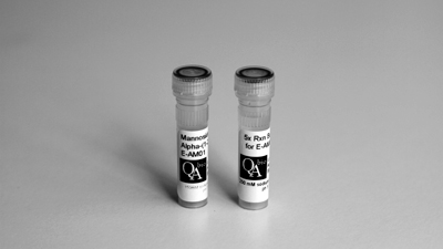 Ludger alpha-(1-2,3,6)-mannosidase - Kit Contents