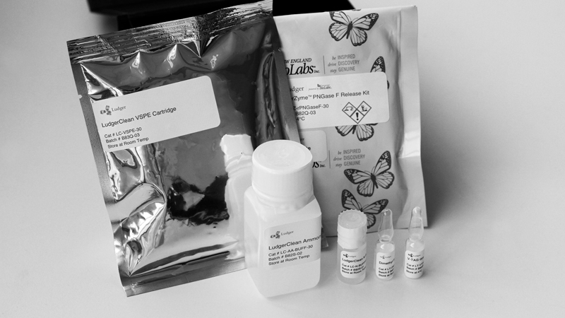 Ludger V-Tag Glycan Labelling Kit