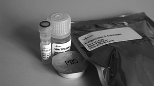 Ludger V-Tag Glycopeptide Labeling and Enrichment Kit