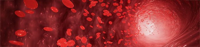 Ludger Publication - CHO-rVWF