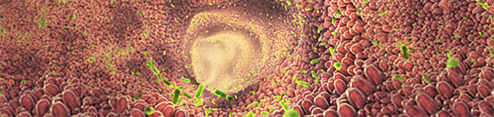 Ludger Publication - mucin O-glycans