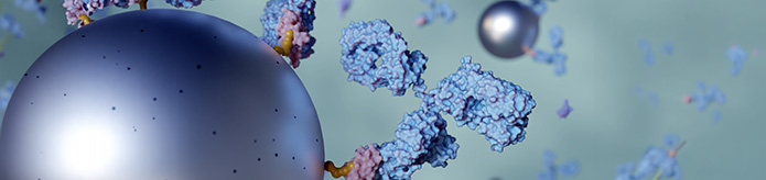 Ludger Publication - nanoparticles