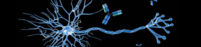Ludger Publication - sclerosis