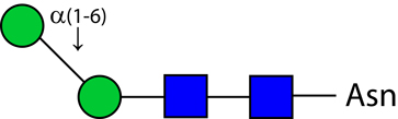 Ludger Alpha-（1,6）核心甘露糖苷酶结构