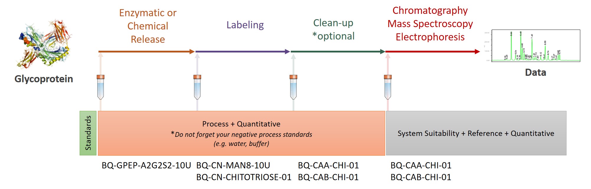 Ludger Glycan Standards Workflow - BioQuant Range