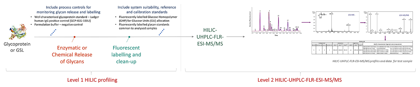 Ludger - Glycan Analysis - Workflow for Level 2 HILIC-UPLC-FLR-ESI-MS-MS