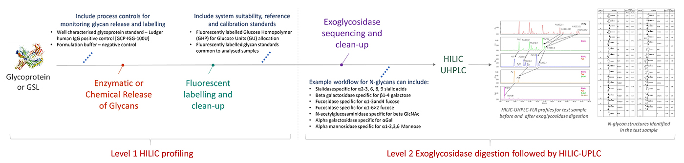 Ludger - Glycan Analysis - Workflow for Level 2 Exoglycosidase digestion followed by HILIC-UPLC