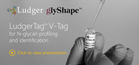 Ludger V-Tag N-glycan release and labelling kit presentation
