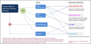 Ludger Overview of Glycan Labeling