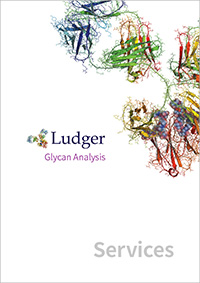 Ludger Brochure - Glycan Analysis Services