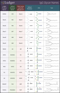 Ludger IgG Glycan Names