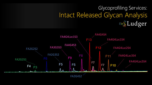 Lugder Glycan Analysis