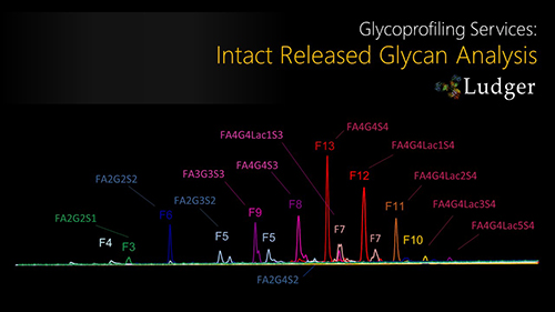 DMB Sialic Acid Analysis