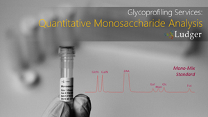 Ludger Monosaccharide Analysis
