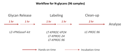 Lugder Procainamide Timeline