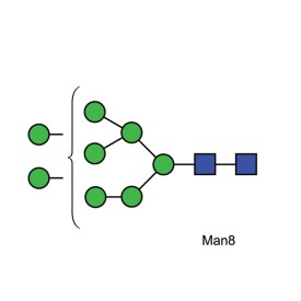 Mannose 8 quantitative standard