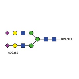 A2G2S2 quantitative glycopeptide standard