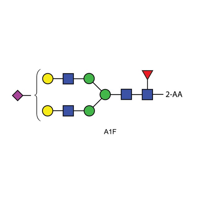 A1F glycan (FA2G2S1, G2FS1), 2-AA labelled