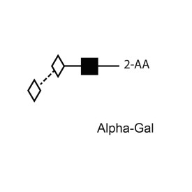Alpha-Gal standard (2-AA labelled)