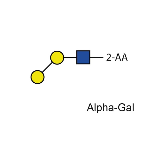 Alpha-Gal standard (2-AA labelled)