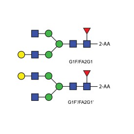 FA2G1 glycan (G1F), 2-AA labelled