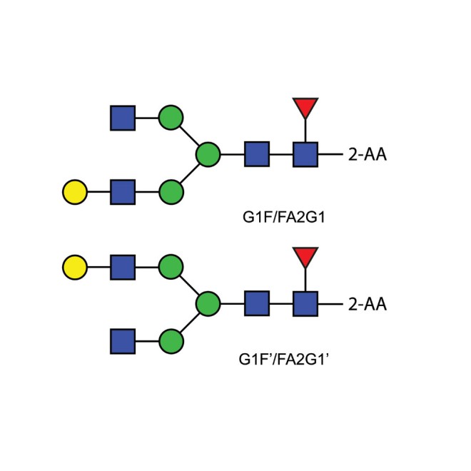 FA2G1 glycan (G1F), 2-AA labelled