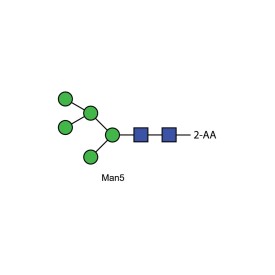 Man-5 glycan, 2-AA labelled